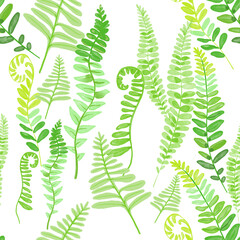 A lush and vibrant watercolor illustration featuring a variety of ferns in soft, calming shades of green. This botanical design evokes a sense of tranquility and nature, perfect for eco-friendly