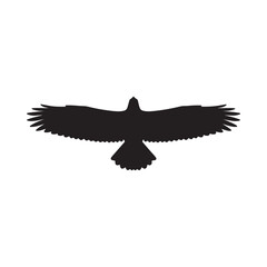 Fototapeta premium flying eagle silhouette with spread wings isolated silhouette silhouette vector 