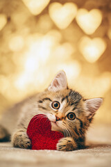 Adorable tabby kitten playfully holding a red heart-shaped decoration against a soft, shimmering golden background with heart bokeh, capturing a moment of love and affection