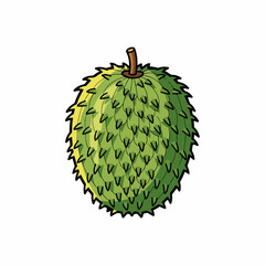 Soursop fruit, green tropical fruit with spiky skin. Fresh soursop fruit, also called graviola, provides unique taste, healthy benefits. Delicious soursop fruit for exotic food concepts,