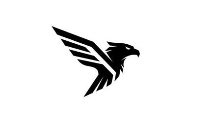 Fototapeta premium Adobe Illustrator Artwork