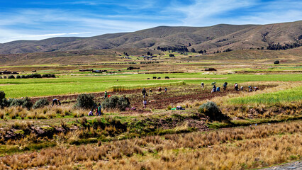 Fototapeta premium The Landscape of the Altiplano in Bolivia