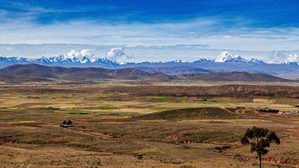 Obraz premium The Landscape of the Altiplano in Bolivia
