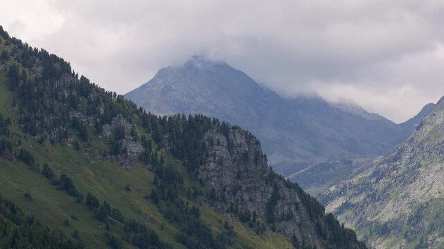 Beautiful summer mountain landscape. Altai, Russia