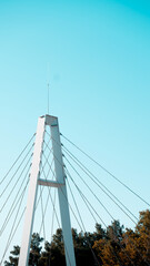 Obraz premium Modern cable bridge structure against clear blue sky in Tashkent. Minimalist urban engineering composition with strong lines and copy space, August 19, 2025