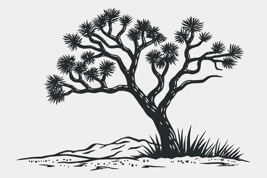 Hand drawn vintage style illustration of a majestic joshua tree in a desert landscape isolated on white background