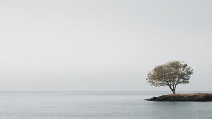 Single tree on a small island in the middle of the ocean. the tree is bare and has no leaves, with no leaves on its branches. it is standing on a rocky shore with patches of grass and shrubs.