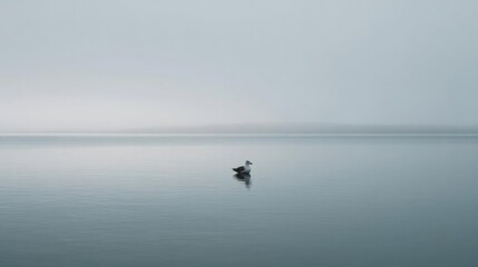 Photograph of a calm body of water. the water is a light blue-green color and appears to be calm and still. the sky is overcast and the horizon is visible in the distance.