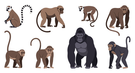 Collection of different primate species including gorillas, chimpanzees, monkeys, and lemurs in various natural standing and sitting poses.