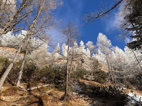Julian Alps winter landscape, path to Debela pec peak