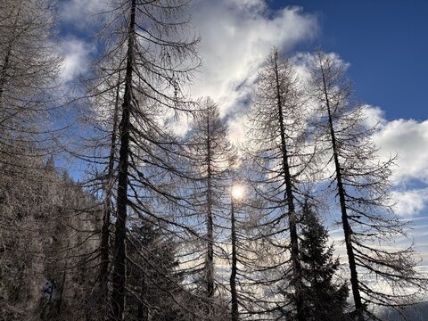 Julian Alps winter landscape, path to Debela pec peak