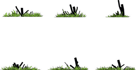 green grass and tree stumps on ground in various positions