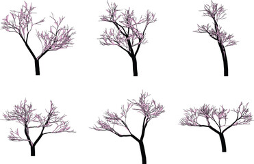 set of six bare trees with pink leaves on transparent background