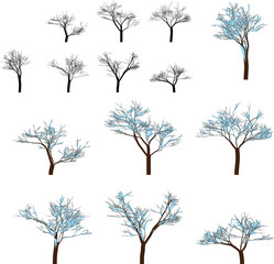 set of trees with bare branches in winter season  various frosty tree silhouettes