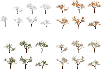 collection of trees with different foliage and branch styles on white