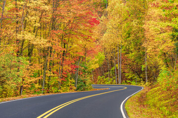 Fall foliage on a curvy road in the Smoky Mountains