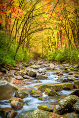 The Cathedral in Smoky Mountains during Fall