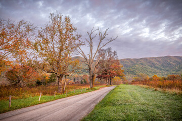 Beautiful roadway in Cades Cove Smoky Mountains Tennessee