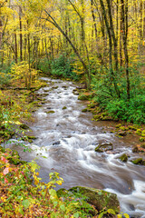 Little River in Smoky Mountains during Fall shows the cold, flowing water making its way downstream.