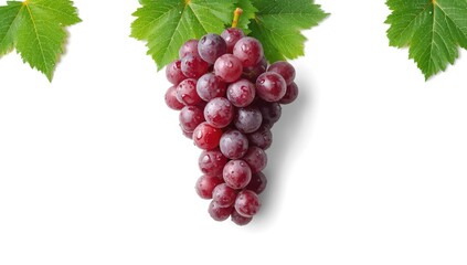 Fototapeta premium Single red grape on plain white backdrop, used for organic food marketing or fresh produce display