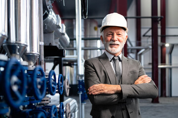 Senior engineer managing industrial factory operations