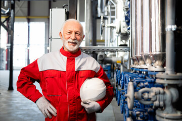 Senior engineer holding helmet working in industrial factory