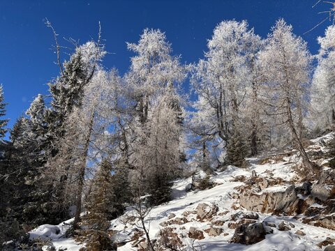 Julian Alps winter landscape, path to Debela pec peak