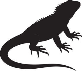 Naklejka premium iguana on a rock