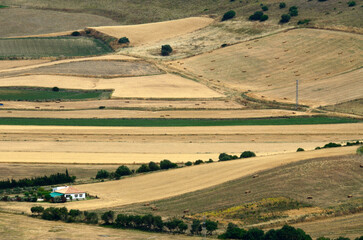 Obraz premium Campos de cultivo cerca de Vejer de la Frontera, provincia de Cádiz, Andalucía, España.