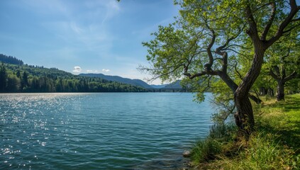 Tri-Cities Washington State's Columbia River with water, sky, and forested land, highlighting summer outdoor exploration