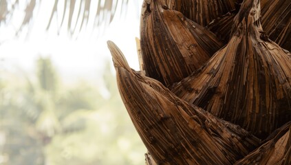 Tree bark pattern used in design for environmental conservation messaging, tropical Africa