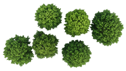 Six green spherical bushes or shrubs isolated on transparent background