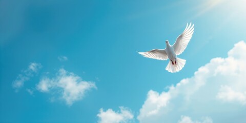 Fototapeta premium White dove flying against a bright sky, symbolizing hope and tranquility, International Day of Peace