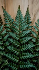 Lush Green Fern Foliage Against Wood Background