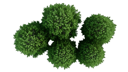 Aerial view of four green spherical bushes isolated on transparent background