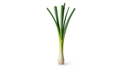 Obraz premium Green leek stalks isolated on white background, kitchen ingredient for nutritious meals, spring season