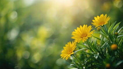 Closeup of vibrant yellow flowers and lush green foliage in garden, highlighting natural beauty and seasonal change, Earth Day