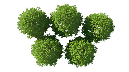 Five green spherical bushes or shrubs isolated on transparent background