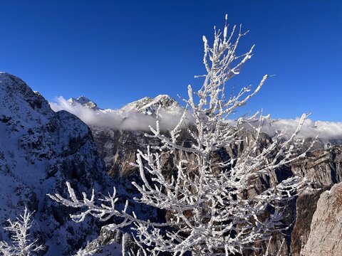 Julian Alps in Slovenia winter landscape, path to Debela pec peak