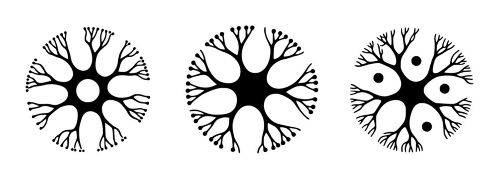 Black stylized neuron cells with branching dendrites and circular nuclei a white background biology science