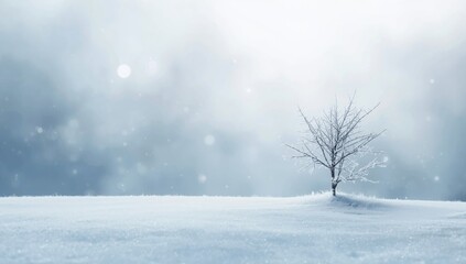 Fototapeta premium A snow-covered ground with a solitary small branch, emphasizing seasonal change, Winter Solstice