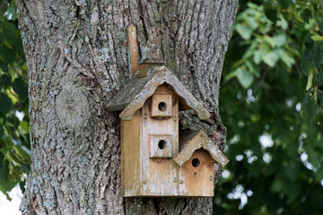 birdhouse on tree