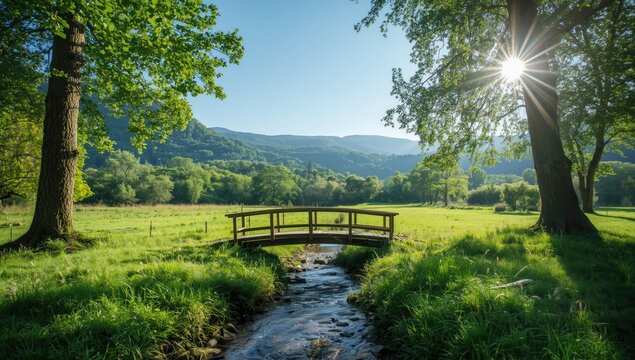 Elevated bridge structure spanning lush greenery, highlighting engineering inspection and preservation needs