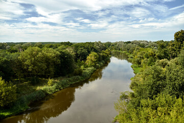 Fototapeta premium rural landscape with the Warta river and forest during summer