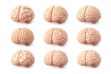 A Visualization of Brain Structures: Exploring the Unique Patterns and Textures of Various Brain Models Represented in a 3x3 Arrangement