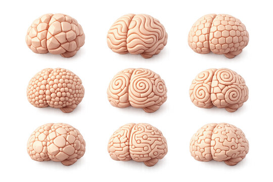 A Visualization of Brain Structures: Exploring the Unique Patterns and Textures of Various Brain Models Represented in a 3x3 Arrangement