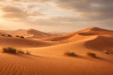 Calm desert setting featuring orange sand and a hazy cloudy sky