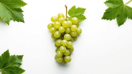 Cluster of green grapes against a plain white backdrop, emphasizing fresh fruit for summer nutrition, isolated on white