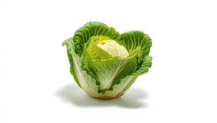 Chinese cabbage on white background, ideal for educational content and nutritional analysis, World Food Day