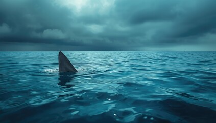 Naklejka premium Shark fin visible above the waterline in open ocean during overcast weather, highlighting marine life